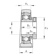 直立式軸承座單元 PASE40-N-FA125, 鑄鐵軸承座，帶偏心鎖圈的外球面球軸承，P 型密封，耐腐蝕保護