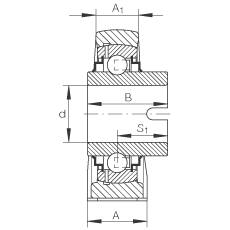 直立式軸承座單元 RASEL20-N, 鑄鐵軸承座，浮動(dòng)軸承，內(nèi)圈有驅(qū)動(dòng)槽，R 型密封